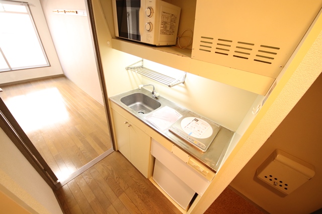 メゾン甲子園EASTのキッチン写真