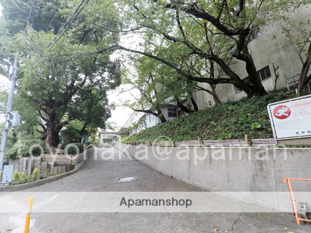 小学校　上野小学校（小学校）まで441m