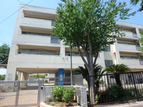 小学校　横浜市立美しが丘東小学校（小学校）まで261m