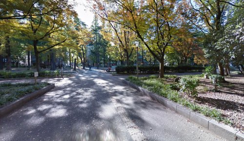 【セイワパレス京町堀の公園】