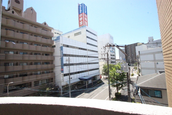 眺望　※別部屋の写真です