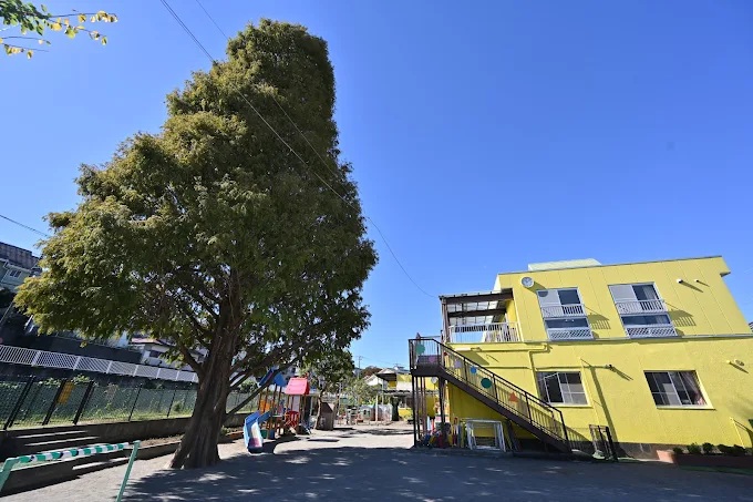 幼稚園・保育園　ひまわり保育園（幼稚園・保育園）まで653m