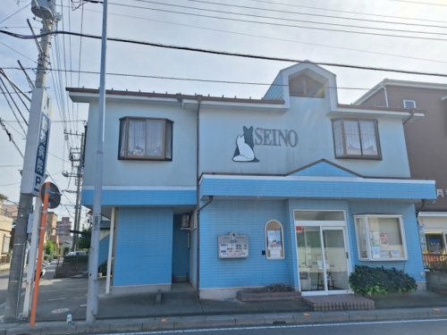 病院　セイノ動物病院（病院）まで490m