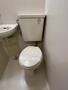 トイレ　☆トイレ☆
