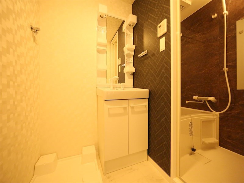 洗面設備　脱衣所　独立洗面台（シャンプードレッサー付）収納スペース有