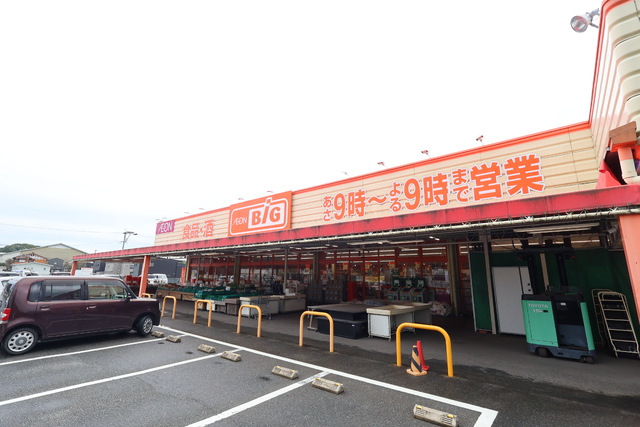 スーパー　ザ・ビック中原店（スーパー）まで250m