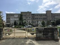 小学校　浜松市立泉小学校（小学校）まで624m