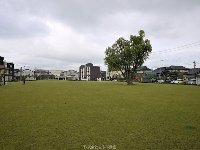 眺望　近隣には広々とした公園があり、休日のリフレッシュにはうってつ