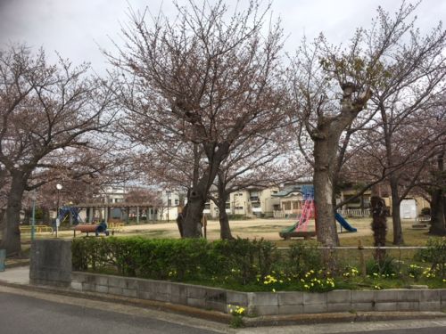 公園　西新町2丁目公園（公園）まで251m