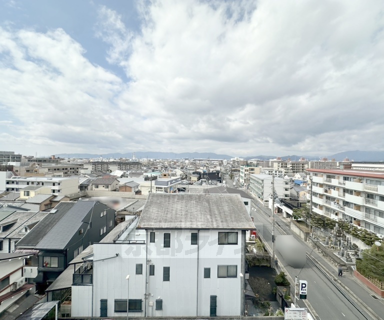 ロビー　観葉植物が素敵です。