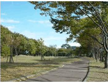 公園　南光台東一丁目緑地（公園）まで574m