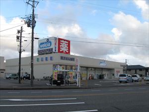 ドラックストア　ウエルシア新潟大学前店（ドラッグストア）まで764m