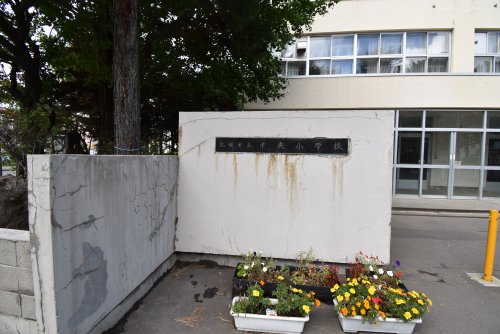 小学校　中央小学校（小学校）まで318m