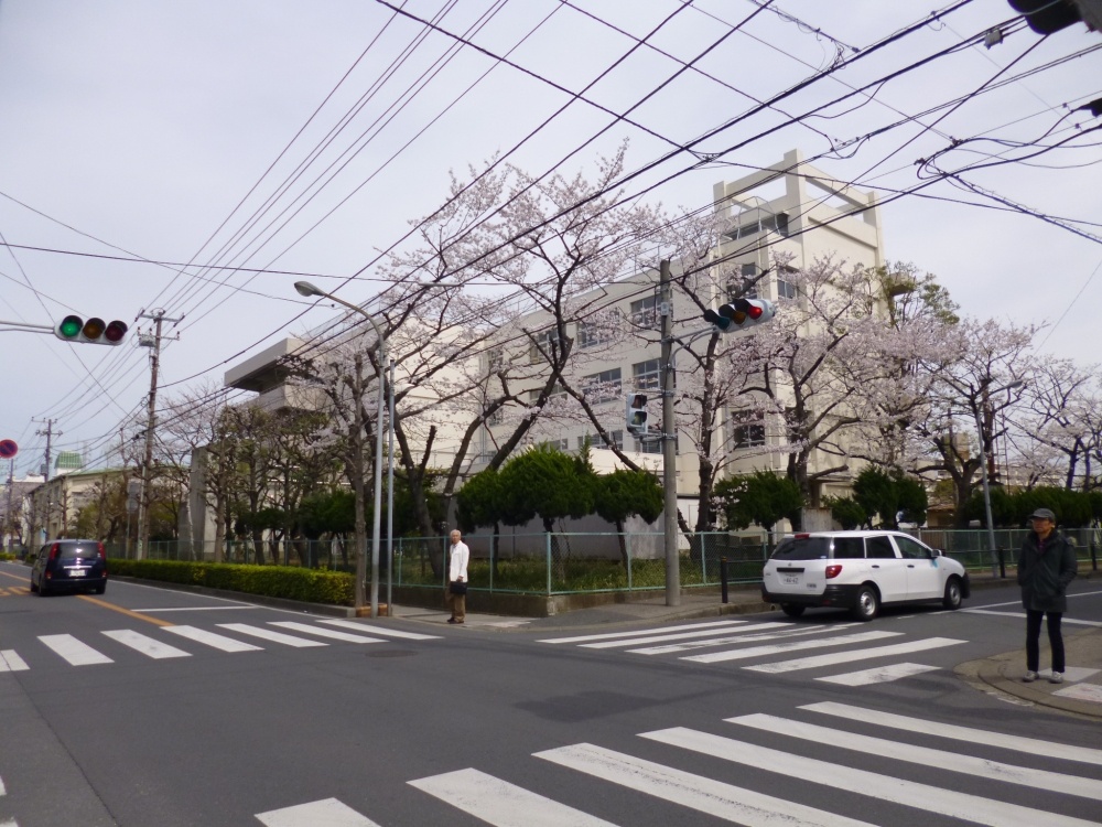 小学校　市川市立 新浜小学校（小学校）まで1102m