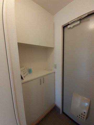 玄関　※反転タイプの部屋写真です