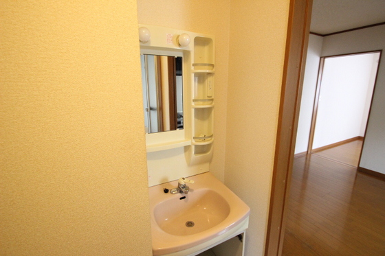 洗面設備　２０２号室の画像です。