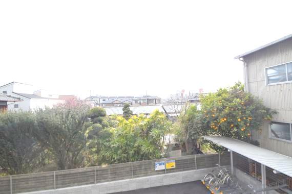 眺望　見晴らしが良いですね。