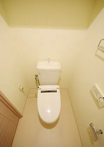 トイレ　※別部屋の参考写真です。