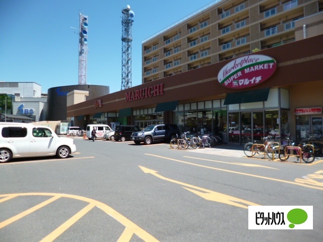 スーパー　マルイチ中ノ橋通店（スーパー）まで1076m