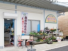 スーパー　JA大阪中河内 畑のつづき 柏原店（スーパー）まで494m