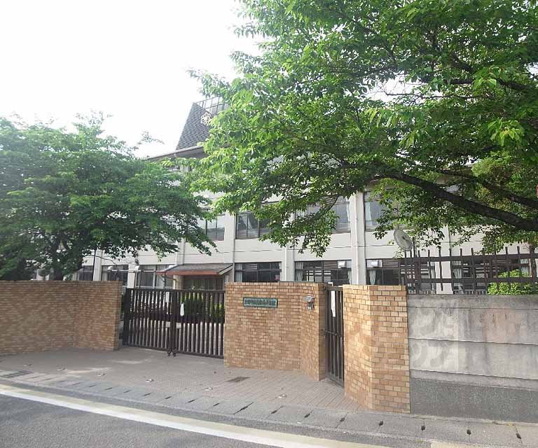 小学校　岩倉南小学校（小学校）まで571m