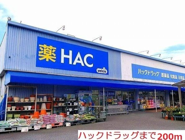 ドラックストア　ハック（ドラッグストア）まで200m