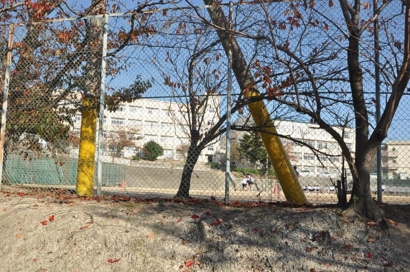 中学校　神戸市立 白川台中学校（中学校）まで1557m