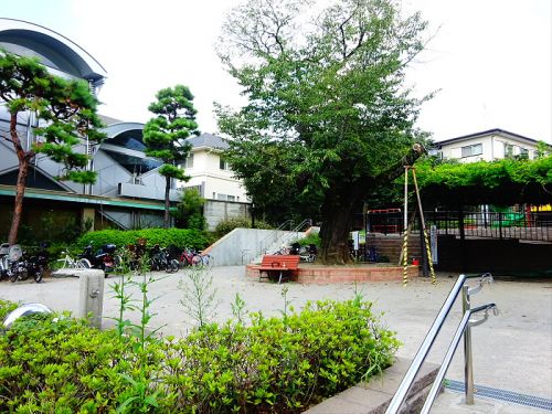 公園　目黒区立自由が丘公園（公園）まで807m
