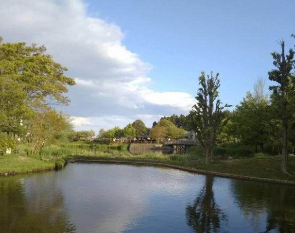 公園　天沼公園（公園）まで1100m