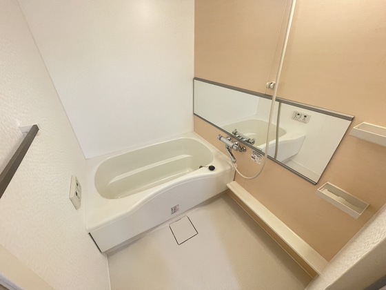 バス・シャワールーム　※別部屋の写真です