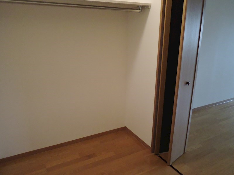 収納　大容量ウォークインクローゼット！