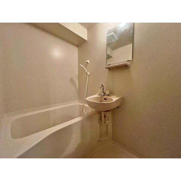 バス・シャワールーム　※写真は同じマンションの違う部屋のものになります。