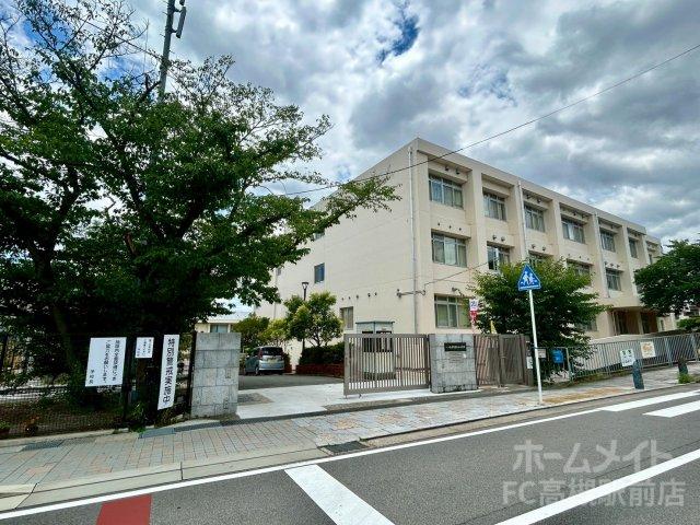 小学校　島本町立第三小学校（小学校）まで751m