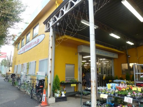 その他　ビックフラワー（その他）まで681m