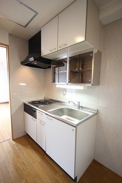 キッチン　同物件、別号室のものです