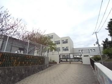 小学校　神戸市立白川小学校（小学校）まで505m