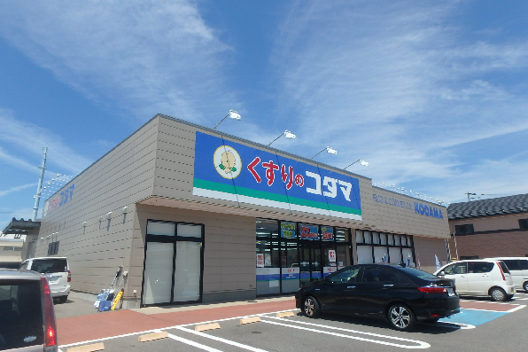 ドラックストア　ココカラファイン鳥屋野南店（ドラッグストア）まで491m