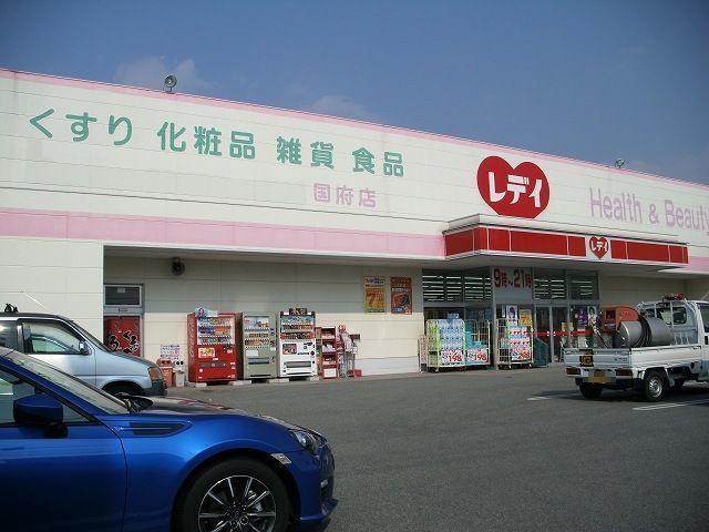 ドラックストア　レディ薬局国府店（ドラッグストア）まで458m