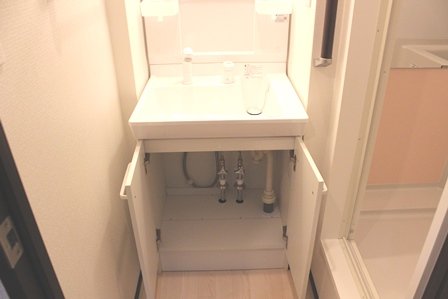 その他部屋・スペース　独立洗面台下収納あります。