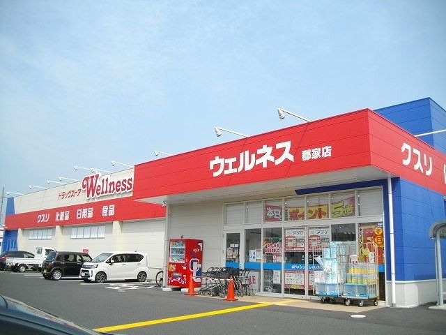 ドラックストア　ウェルネス郡家店（ドラッグストア）まで850m