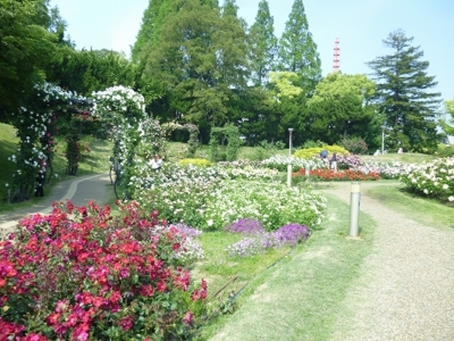公園　靱公園（公園）まで498m