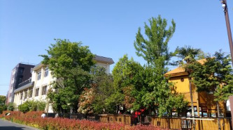 幼稚園・保育園　太陽第一幼稚園（幼稚園・保育園）まで938m