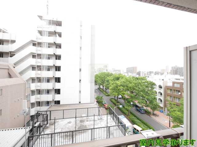 眺望　ローヤルガーデン※他のお部屋の参考写真となります。