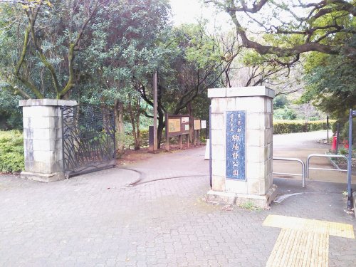 公園　駒場野公園（公園）まで1257m