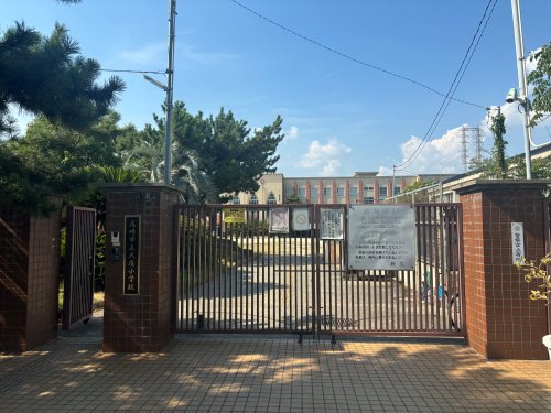 小学校　尼崎市立大庄小学校（小学校）まで317m