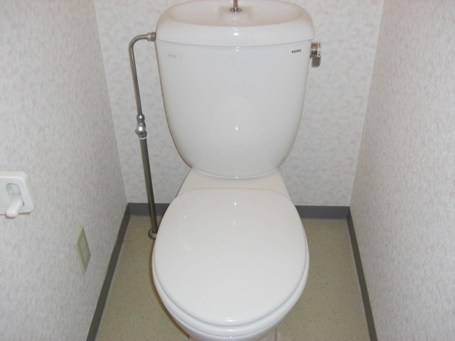 トイレ　写真は別号室のものです。
