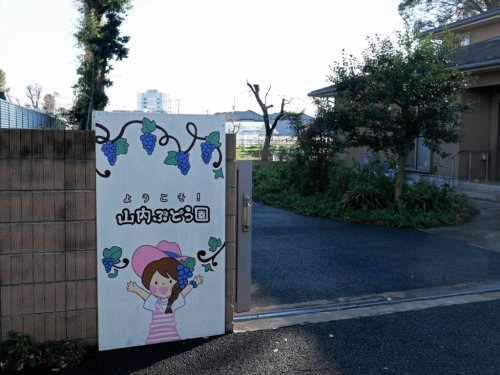その他　山内ぶどう園（その他）まで1067m