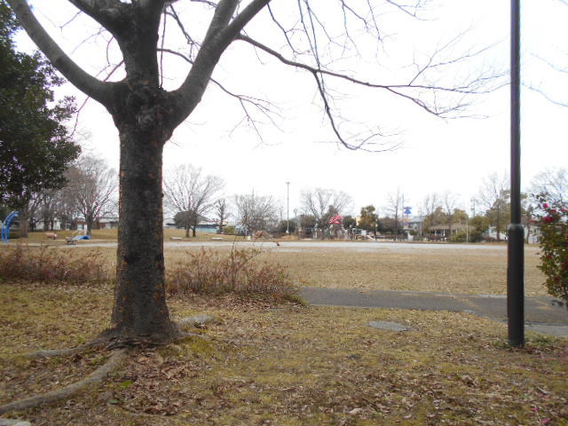 その他　島南公園まで800m