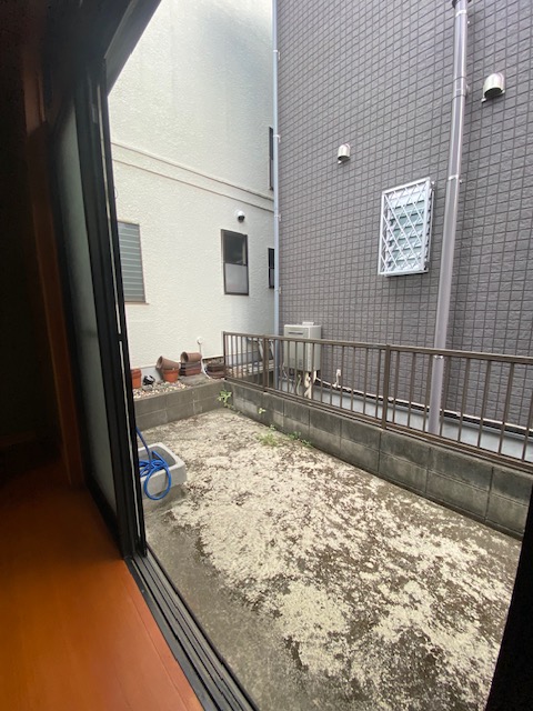 庭