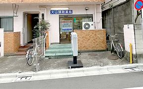 ドラックストア　大山調剤薬局（ドラッグストア）まで268m